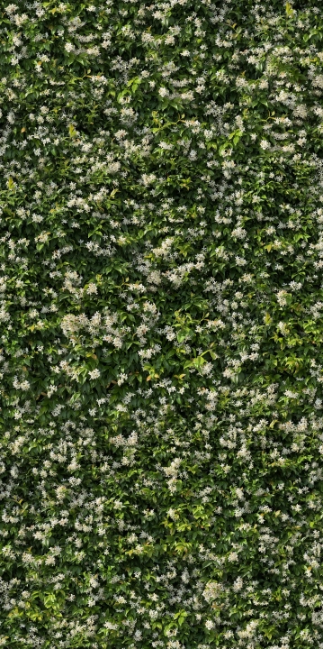 Casalgrande Padana Limpha Gelsomino połaczenie mat-poler 120x240 cm gr. 6 mm